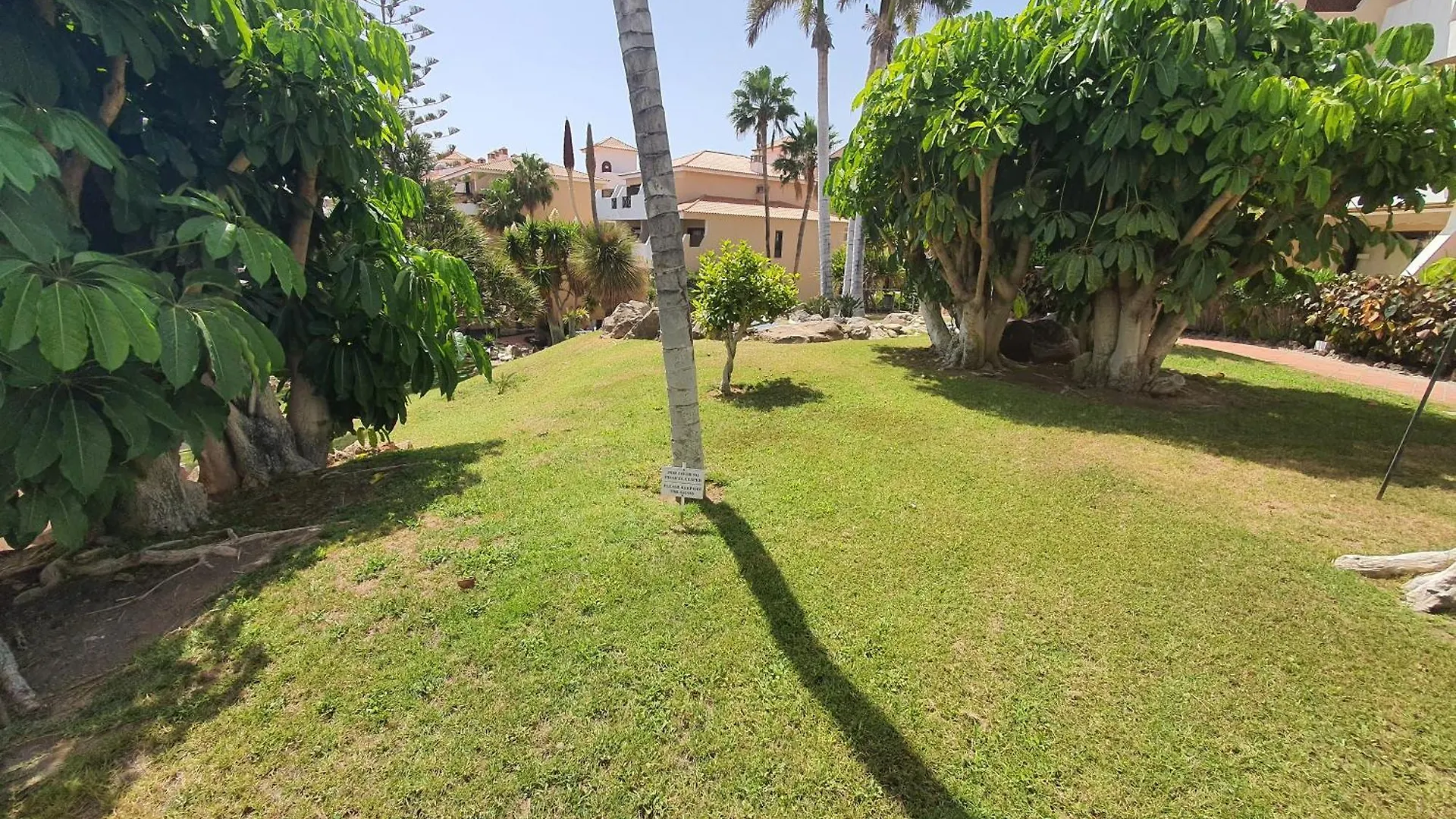 Pambnb - Sea Breeze Loft Parque Albatros San Miguel de Abona Spain